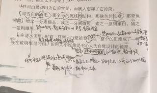 白鹭2到5自然段改成说明文