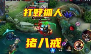 王者大师兄动漫免费观看