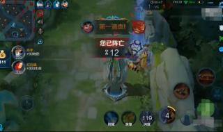 王者大师兄动漫免费观看