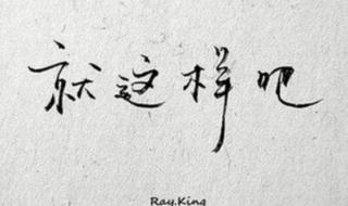 你的柔情我永远不懂歌词