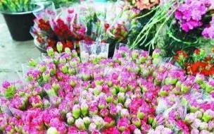 昆明斗南鲜花市场离昆明火车南站有多远 斗南花卉市场在昆明哪个区